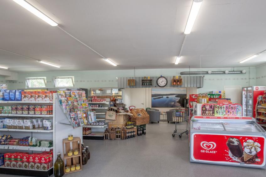 Linsell Villan - foto 32