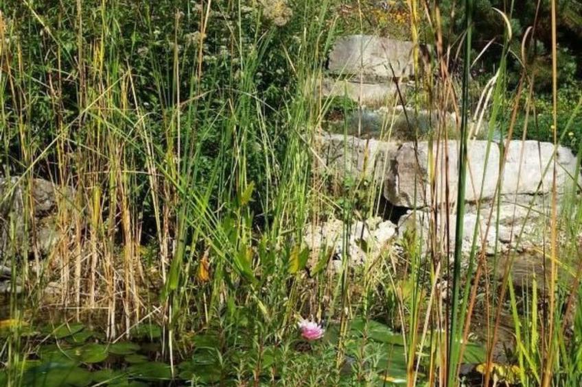 Ferienwohng. Susanne - foto 29