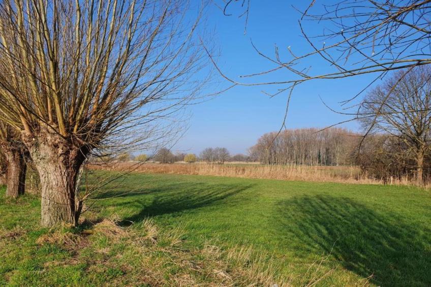 De oude stal - foto 29
