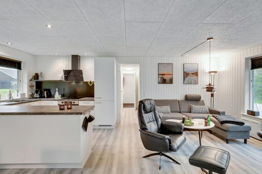 "Øn" -  from the sea in Western Jutland - foto 19