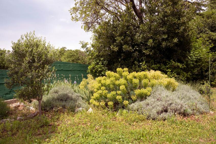 Tiny house Laurel - 70 Meter vom Strand entfernt - foto 18