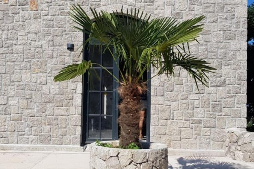 Casa Austria - foto 3