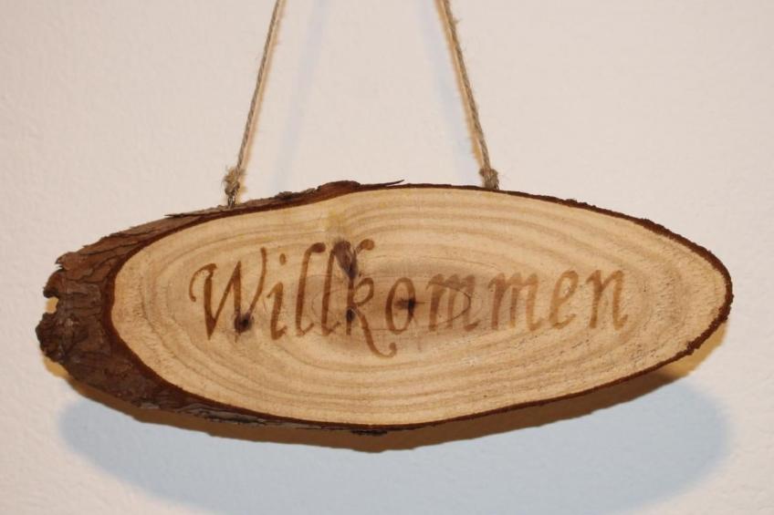 mit Blick auf die Berge - foto 37