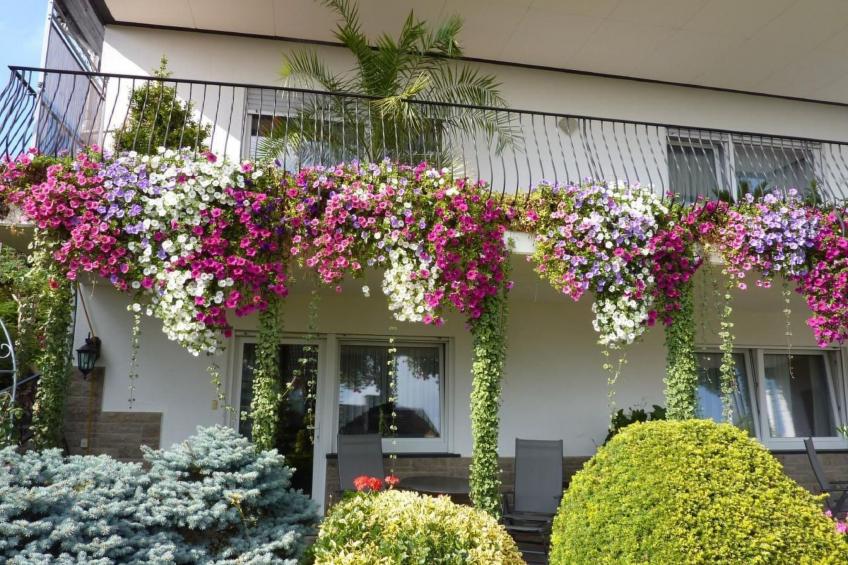 Appartement mit Terrasse, Garten und Grill - foto 2