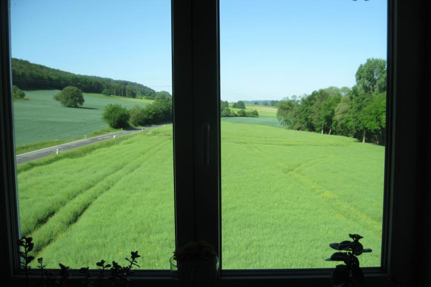 Gästehaus Kühne - foto 11