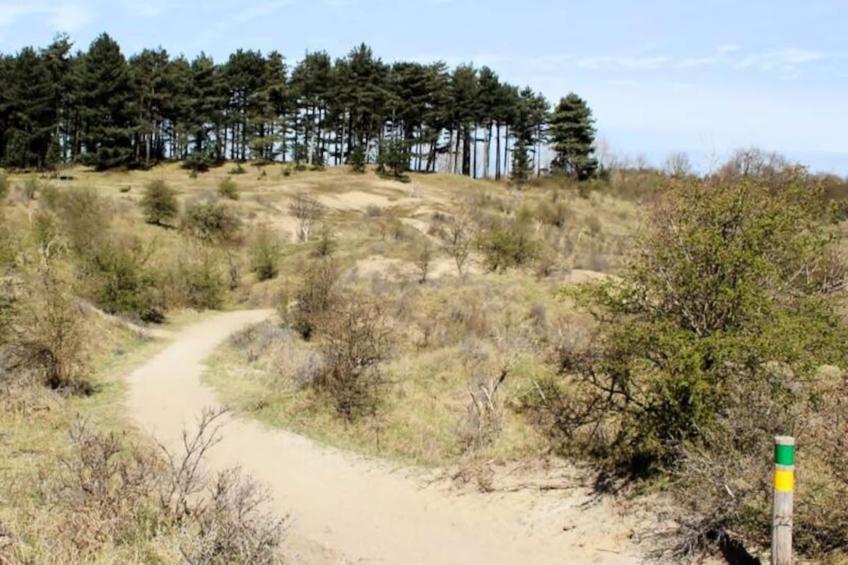 The Beach & Town Suite - foto 40