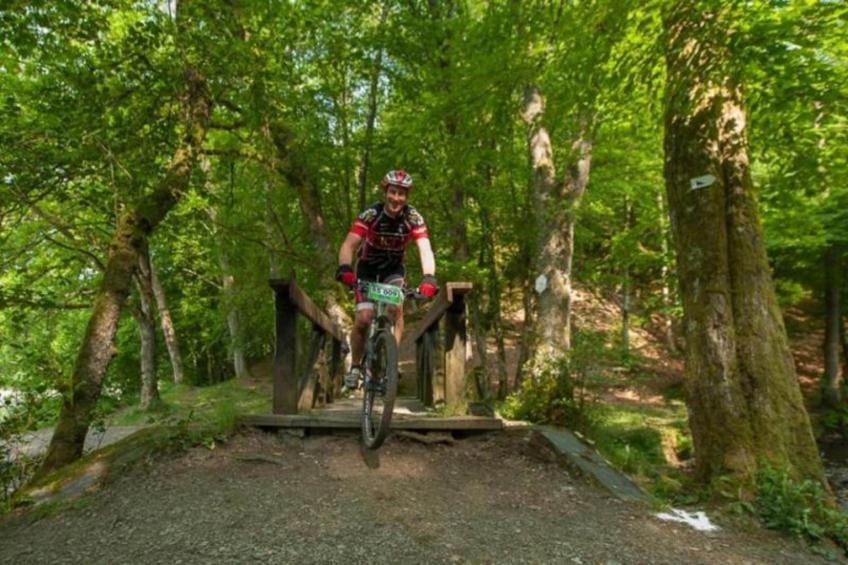 L'Alouette - foto 24