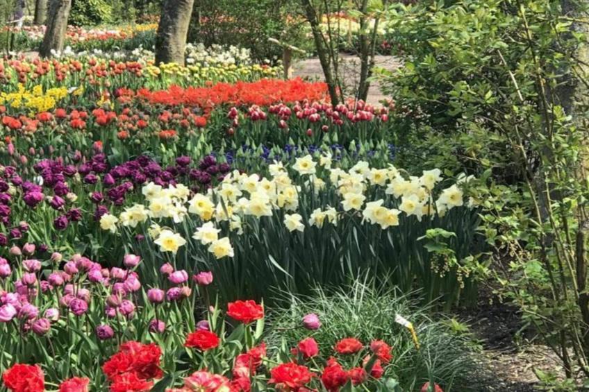 Ruyghe Hoeck 4 - foto 21