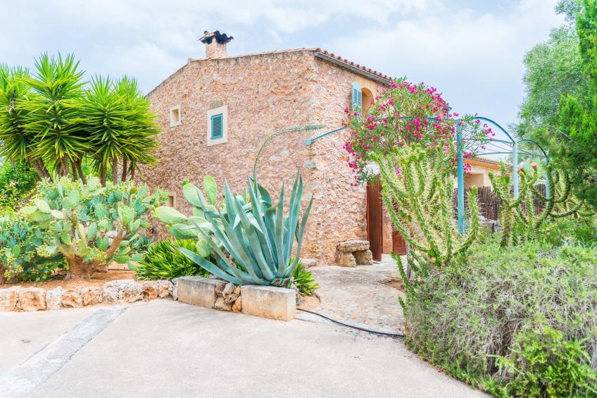 Can Pina - Eco Pina - - foto 6