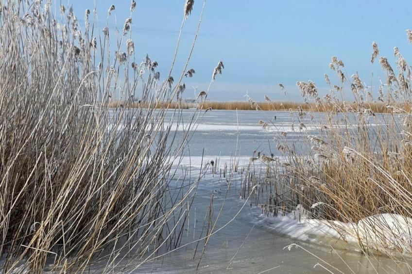 Ruhige Wohnung in Risum mit Garten und Terrasse - foto 43