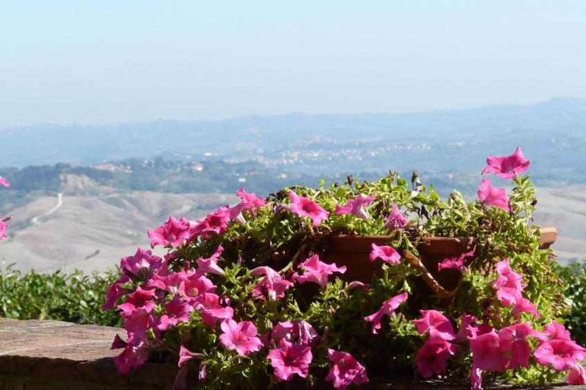 Villa 'Cimpoli casa' mit Garten und Grill - foto 6