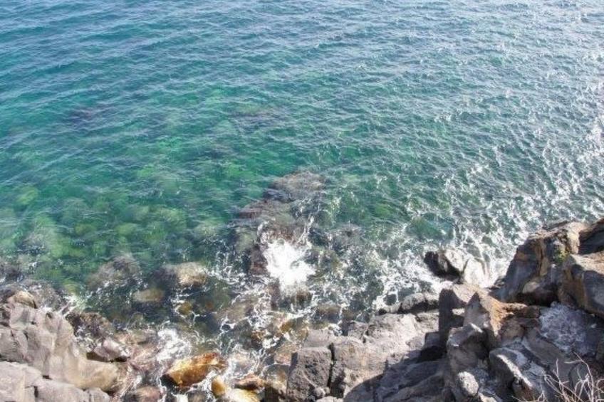 Einzimmerwohnung mit Terrasse - foto 25