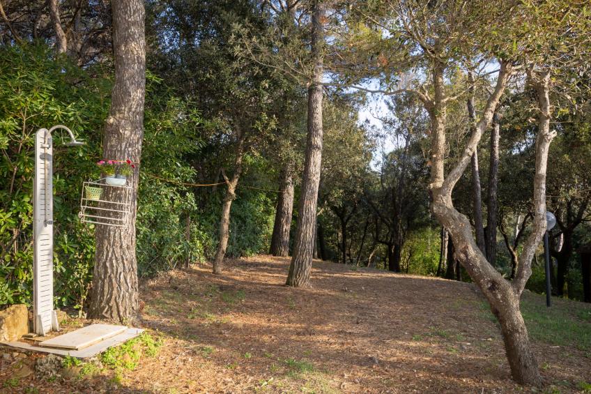 La casetta immersa nel verde - foto 49