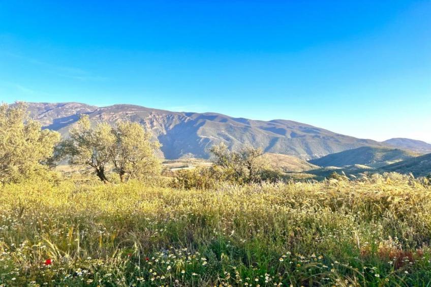 El Ensueno - foto 38