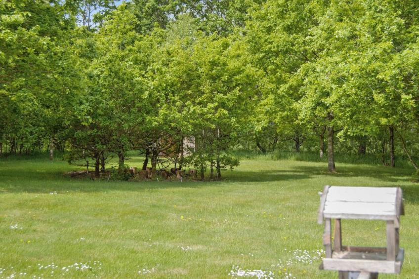 "Hailka" in SE Jutland - foto 18