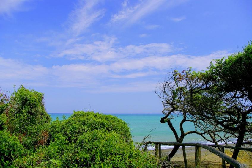 Casale a Montescudaio - Intero - foto 15