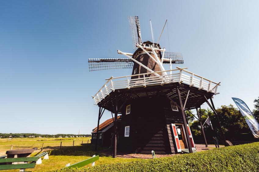 Boomhiemke - foto 28