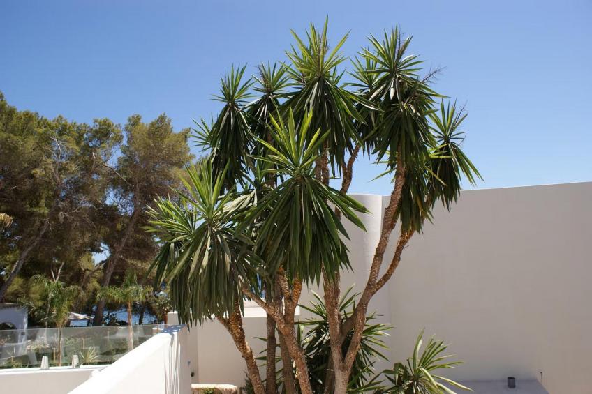 Casa Tranquila S'Argamassa - foto 20