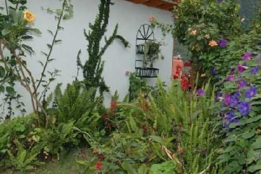 Casa Claudia in Hanglage mit Meerblick - foto 5