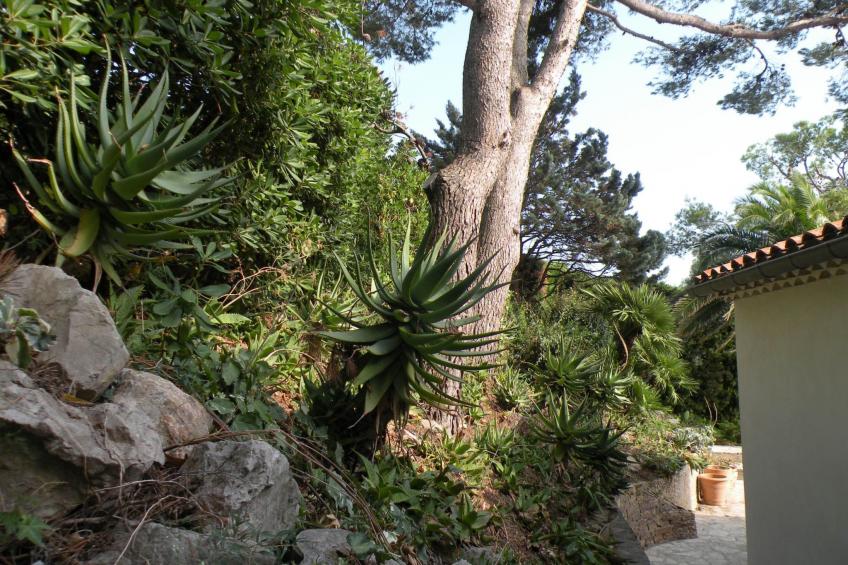 Wohnung "Mesomax RDC" in Strandnähe mit Meerblick - foto 17