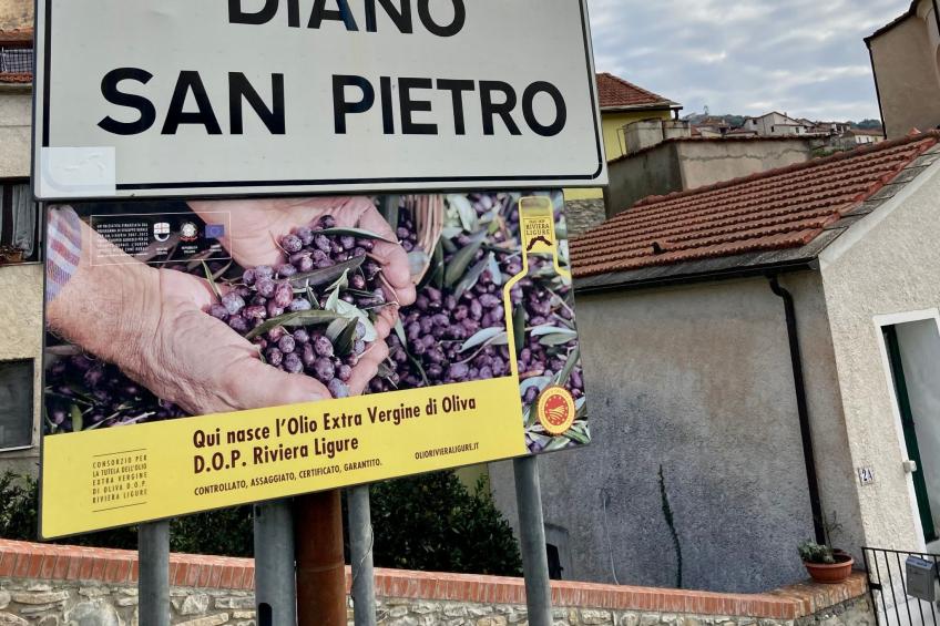 Piccola navetta - foto 35