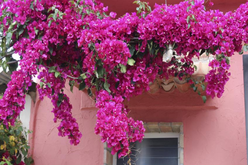 Casa Ana Mari - foto 17