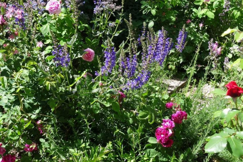 Bévau: Frankreich erleben mit Bio-Frühstück und täglichem Putz-Service - foto 21