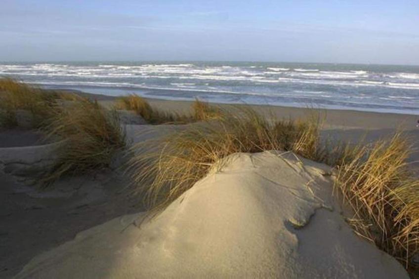 Résidence les Villas de la Baie - foto 30