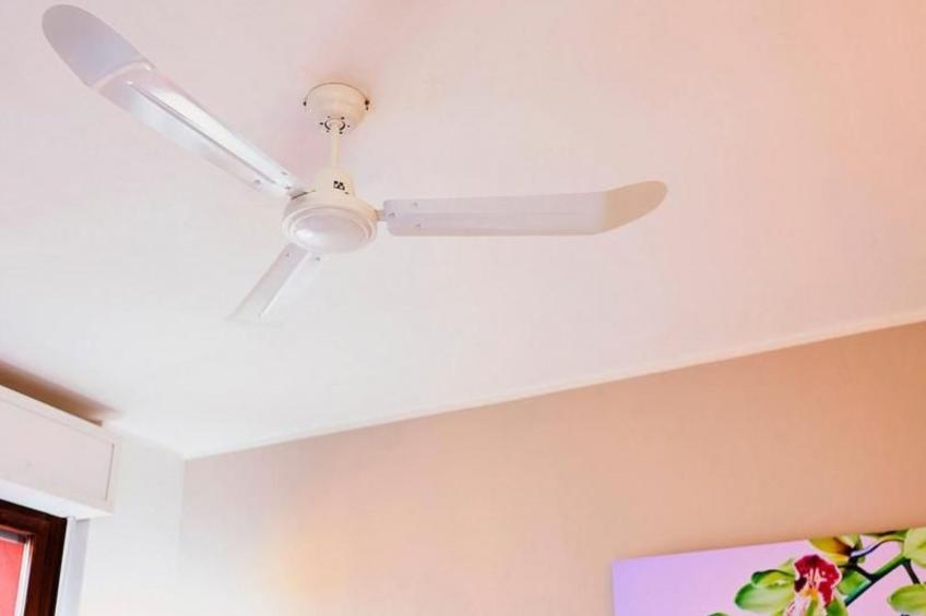 Little Paradise - foto 13