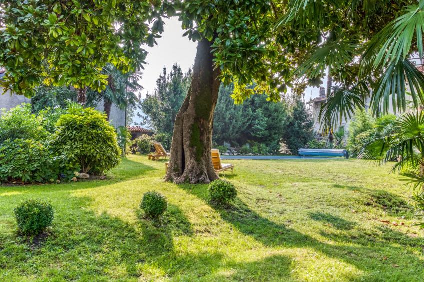 für 15 Personen in Cittiglio - foto 35