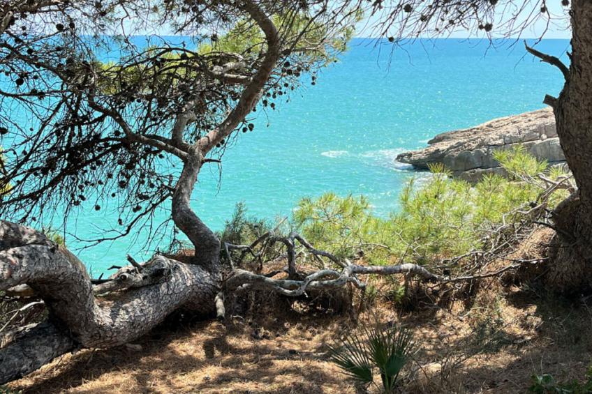 TerrazaAzul-Penthouse apartment sea view - foto 29