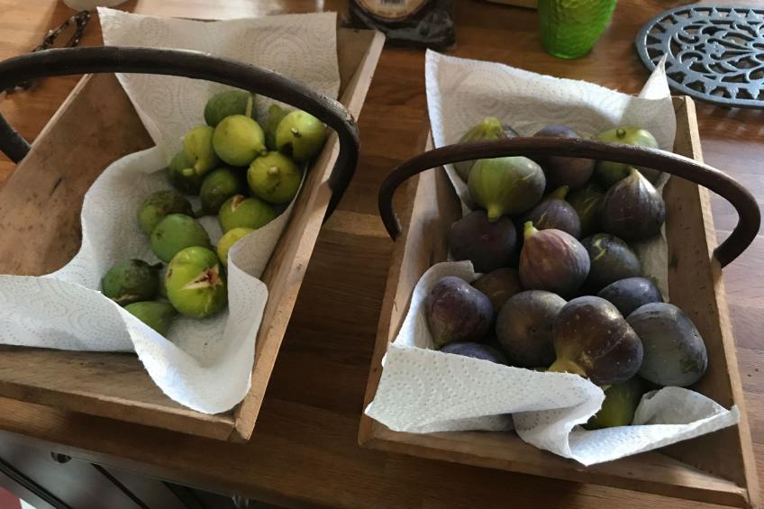 Schloss mit Überlaufpool an der Dordogne - foto 32