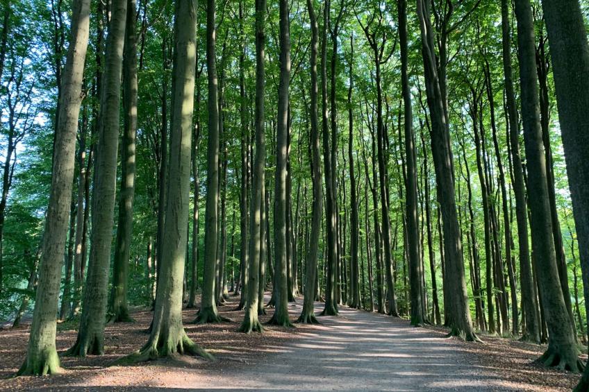Moderne 3-Zimmer Maisonettewohnung in der Natur - foto 44
