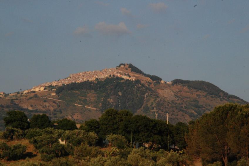 Behagliches Ferienhaus mit Garten inmitten eines - foto 25