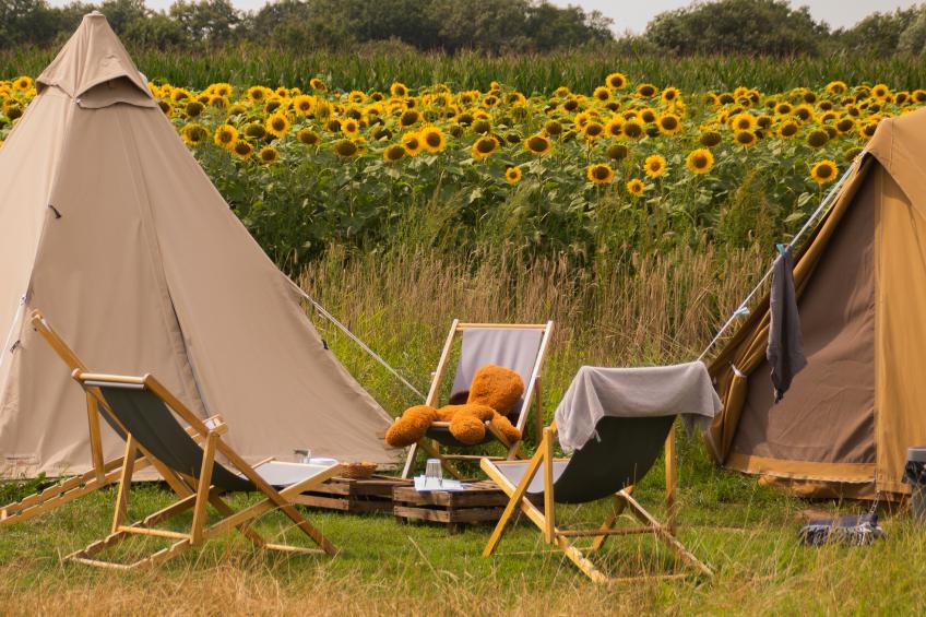 Pop-up glamping: Buurvrouws' Belltentje | 2-4 pers. - foto 2