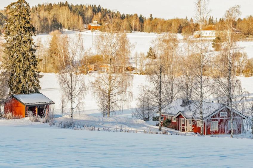 Peltosirkku, seeteri - foto 35