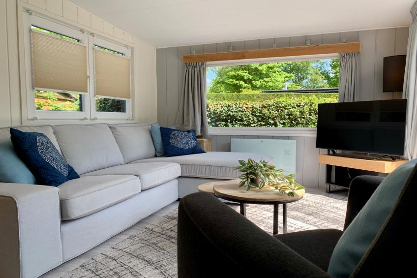 Campanula 211 - foto 3