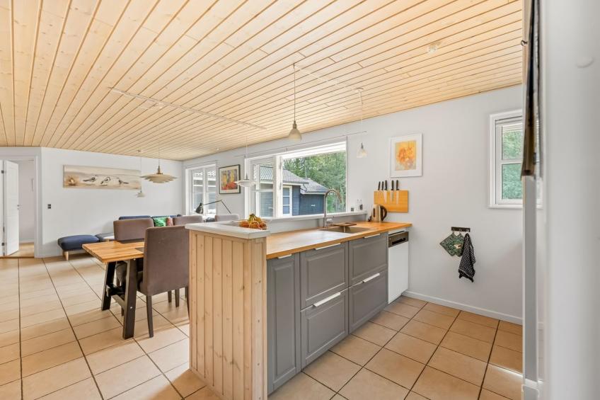 "Filimena" - 350m from the sea in NE Jutland - foto 27