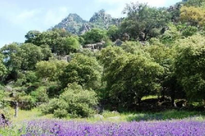 The Barn at Finca al-manzil - foto 4