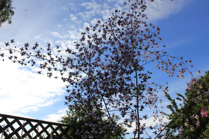 Appartement mit Wallbox - foto 36