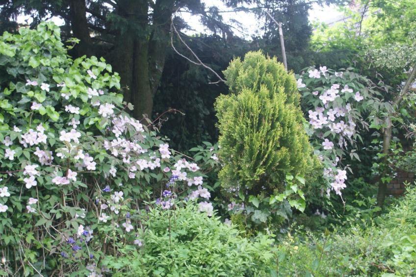Meeresdorf Stille - Ferienhäuser in den Gärten von Magra - foto 25