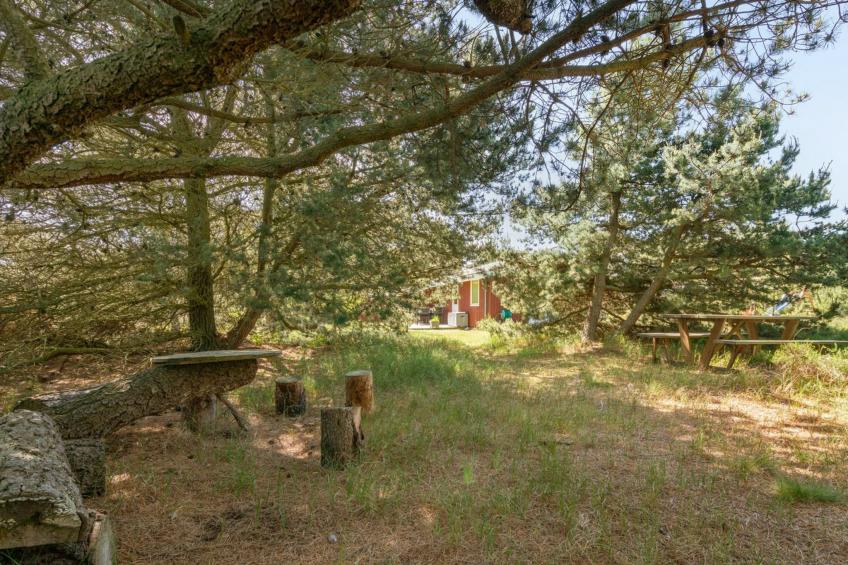 "Hrefna" - 350m from the sea in NE Jutland - foto 35