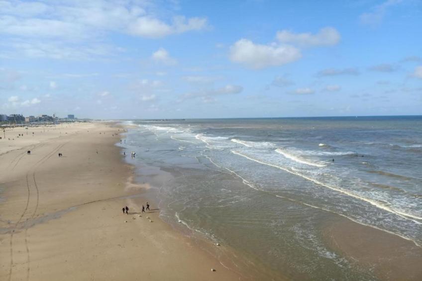 Harbour 32C - foto 40