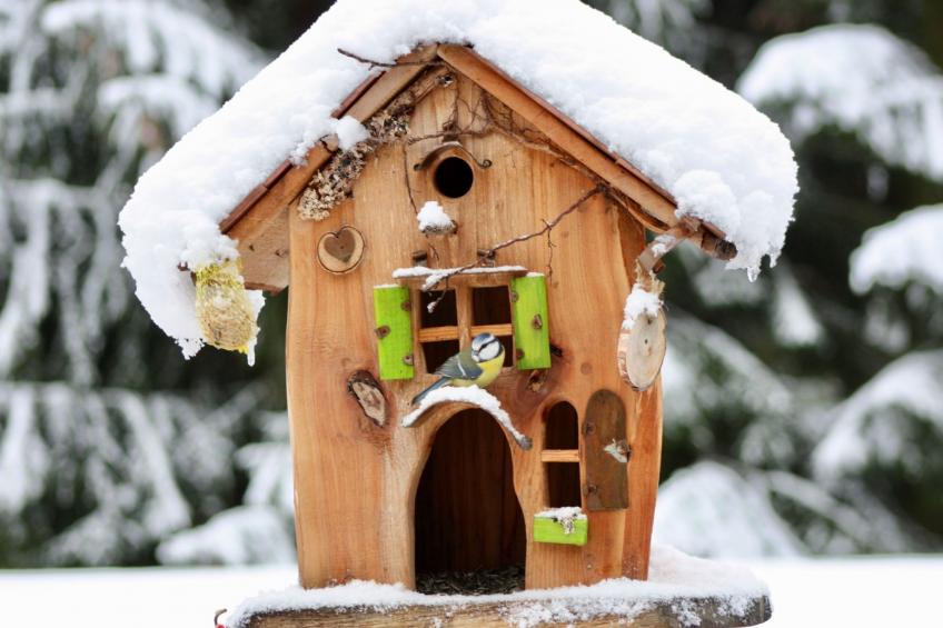 Bungalow mit Garten, Grill und Terrasse - foto 21