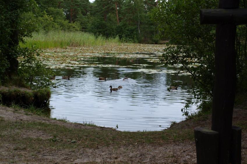 Holzhaus Juhas - foto 36