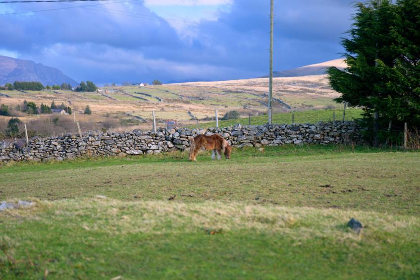 Hedd Wen Cottage - foto 15