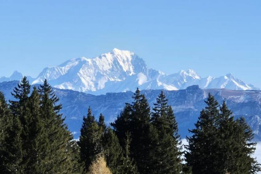 Magnifique Chalet , Vue Sur Le Mont Blanc - foto 31