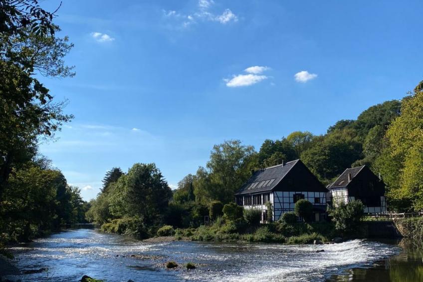 Gartenblick - foto 25