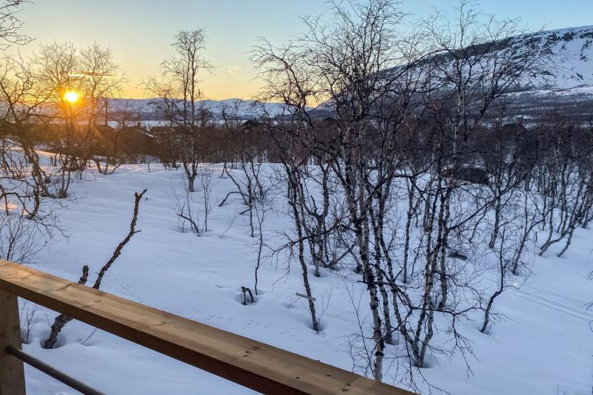 Saana aurora - foto 20