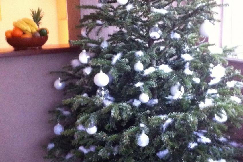 Apartment Le Jardin mit Privatparkplatz - foto 50